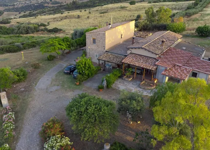 Il Prato Degli Ulivi *